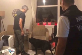 Yalova’da uyuşturucu operasyonlarında: 1 tutuklama