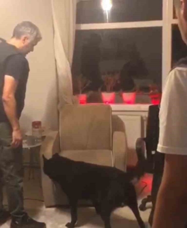 Yalova’da uyuşturucu operasyonlarında: 1 tutuklama