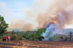 Yangın buğday tarlasına ve ormana sıçradı