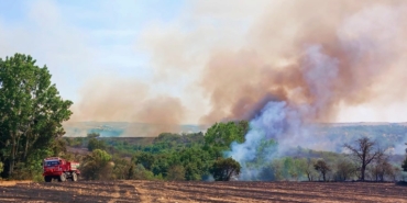 Yangın buğday tarlasına ve ormana sıçradı