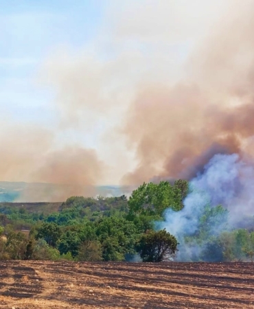 Yangın buğday tarlasına ve ormana sıçradı