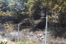 Yangın vatandaşları sokağa döktü