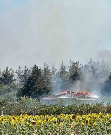 Yangında Uludağ Üniversitesine ait tesisin çatısı yandı