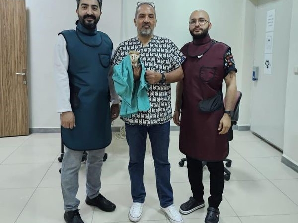 Yaralı peçeli baykuş tedavisi yapılarak doğaya bırakıldı