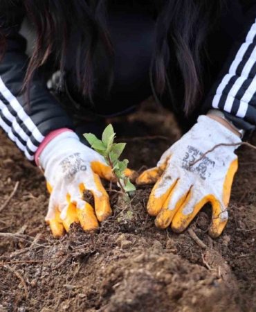 Yeşil Dönüşüm Ormanları Projesi, 80 bin metrekare yeşil alan oluşturdu