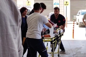 Yetiştirdiği arıların kurbanı oldu