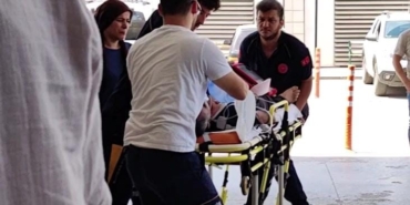 Yetiştirdiği arıların kurbanı oldu