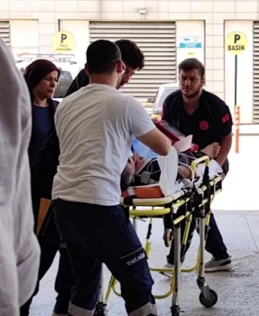 Yetiştirdiği arıların kurbanı oldu