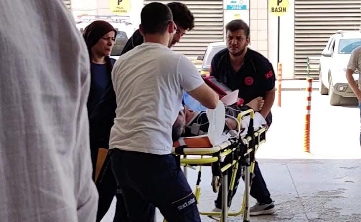 Yetiştirdiği arıların kurbanı oldu