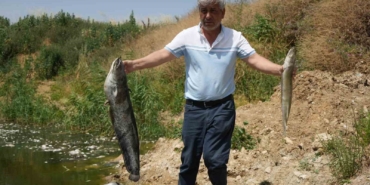 Zehir akan Nilüfer Çayı’nda balık katliamı