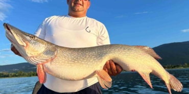 10 kiloluk turna balığını görünce tepkisi güldürdü: "Benim bahçemdeki kuzulardan büyük"