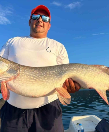 10 kiloluk turna balığını görünce tepkisi güldürdü: "Benim bahçemdeki kuzulardan büyük"