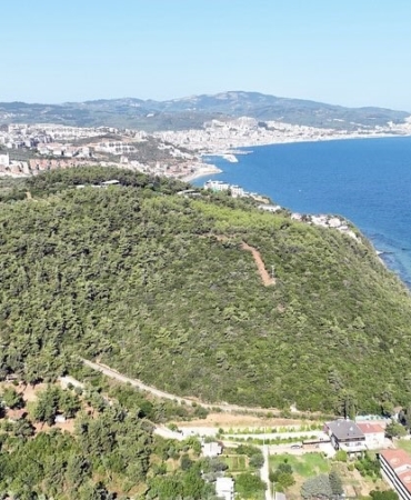 116 dönüm deniz manzaralı ormana Mudanya Belediyesi talip oldu