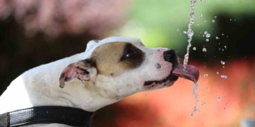 4 gün boyunca sıcak hava Bursa’yı kavuracak