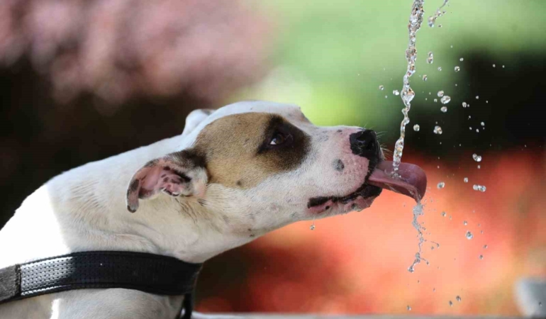 4 gün boyunca sıcak hava Bursa’yı kavuracak