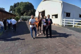 64 tayın satışından 26 milyon 640 bin TL gelir elde edildi