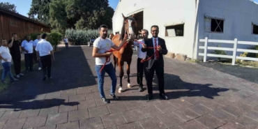 64 tayın satışından 26 milyon 640 bin TL gelir elde edildi