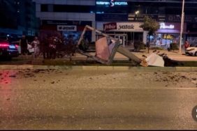 Aday sürücü kontrolden çıktı, reklam panosunu ve ağaçları devirdi