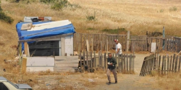 Anız yangınında kulübedeki güvercinlerini otomobilin bagajına koyarak kurtardı