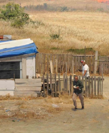 Anız yangınında kulübedeki güvercinlerini otomobilin bagajına koyarak kurtardı