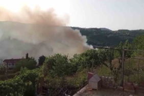 Araçta başlayan yangın ağaçlık alana sıçradı