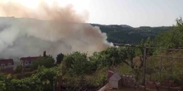 Araçta başlayan yangın ağaçlık alana sıçradı