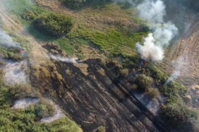 Arnavutköy’de çayırlık alanda yangın çıktı