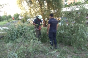 Ataşehir’de araçların üzerine ağaç devrildi