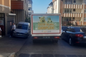 Ataşehir’de İETT şoförü otobüse çarpan martıyı böyle kurtardı