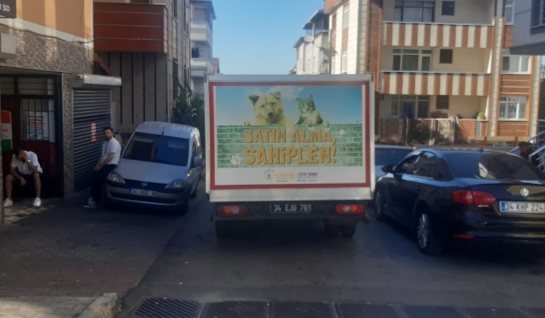 Ataşehir’de İETT şoförü otobüse çarpan martıyı böyle kurtardı