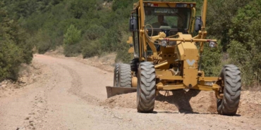 Atatürk Ormanı’nda bakım devam ediyor