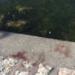 Avcılar’da feci cinayet: Önce bıçakladılar, sonra denize attılar