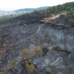 Aydos’ta yanan ormanlık alanın son hali havadan görüntülendi