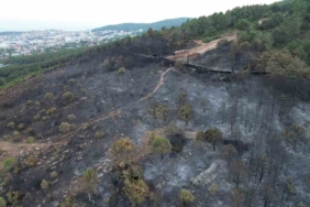 Aydos’ta yanan ormanlık alanın son hali havadan görüntülendi
