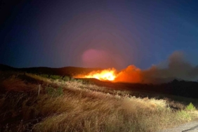 Ayvacık’ta orman yangını