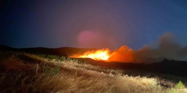 Ayvacık’ta orman yangını