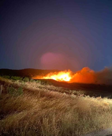 Ayvacık’ta orman yangını