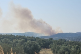 Ayvacık’ta orman yangını