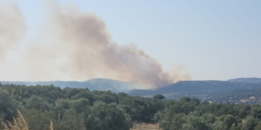 Ayvacık’ta orman yangını