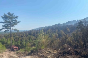 Ayvacık’taki orman yangını 19 saat sonra kontrol altına alındı