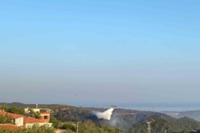 Ayvacık’taki orman yangını kontrol altına alındı