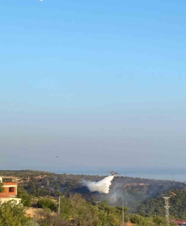 Ayvacık’taki orman yangını kontrol altına alındı