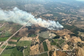 Ayvacık’taki orman yangını kontrol altına alındı
