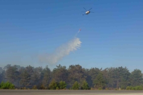 Ayvacık’taki orman yangınına müdahale devam ediyor