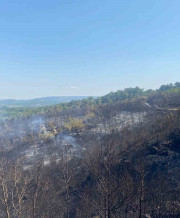 Ayvacık’taki orman yangınını kontrol altına alma çalışmaları devam ediyor
