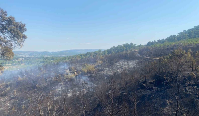 Ayvacık’taki orman yangınını kontrol altına alma çalışmaları devam ediyor