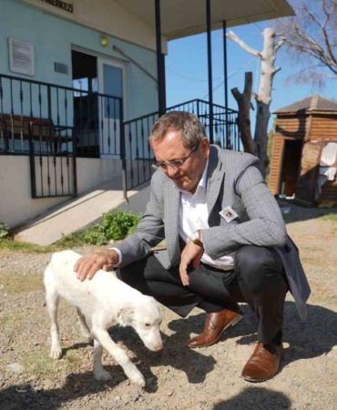 Ayvalık Belediye Başkanı Mesut Ergin, "Yasalar öldürmek değil yaşatmak için çıkarılır”