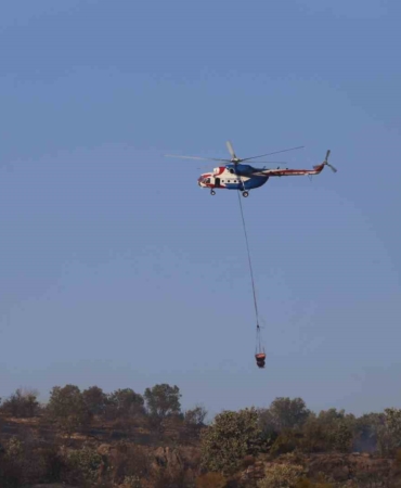 Ayvalık’ta makilik alanda çıkıp zeytinliklere sıçrayan yangın kontrol altına alındı