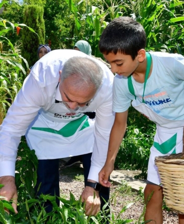 Ayvansaray ve Yedikule Bahçelerinde çocuklar, meyve ve sebze hasadına katıldı