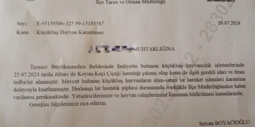 Babaeski’de küçükbaş hayvanlarda çiçek hastalığına rastlandı